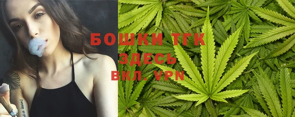 молекула духа Надым