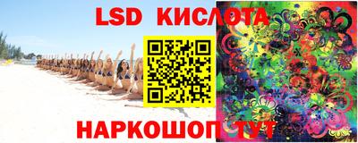 spice Владимир