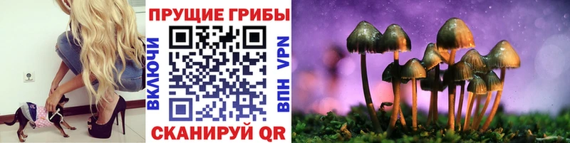 Галлюциногенные грибы GOLDEN TEACHER  Новошахтинск 