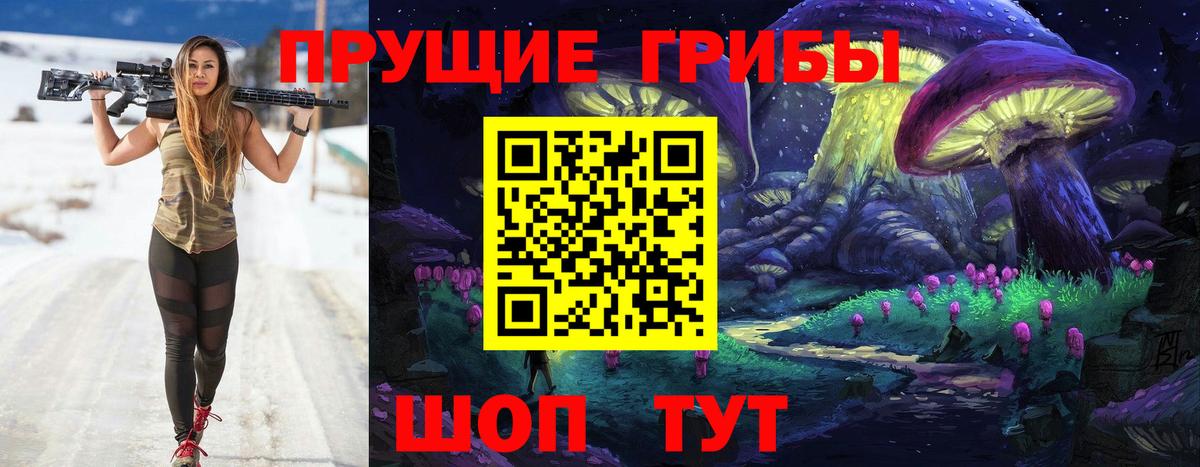 Псилоцибиновые грибы Psilocybe Новошахтинск