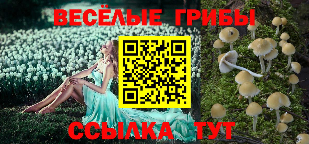 Новошахтинск  Псилоцибиновые грибы Psilocybe  сколько стоит  Галлюциногенные грибы Psilocybe  Вход с VPN 